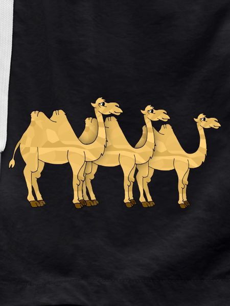 Camels