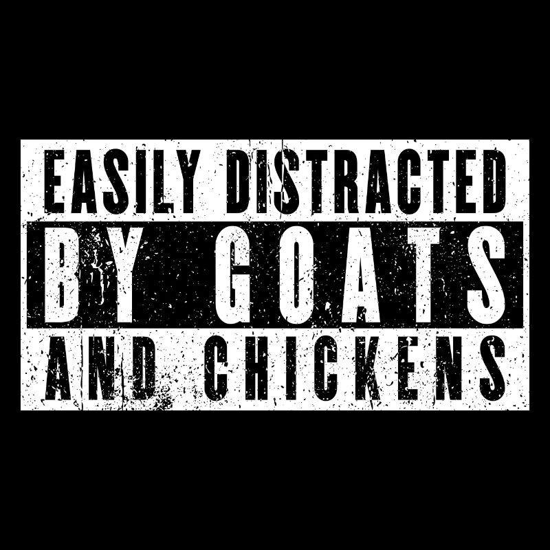 Facilement distrait par les chèvres et les poulets