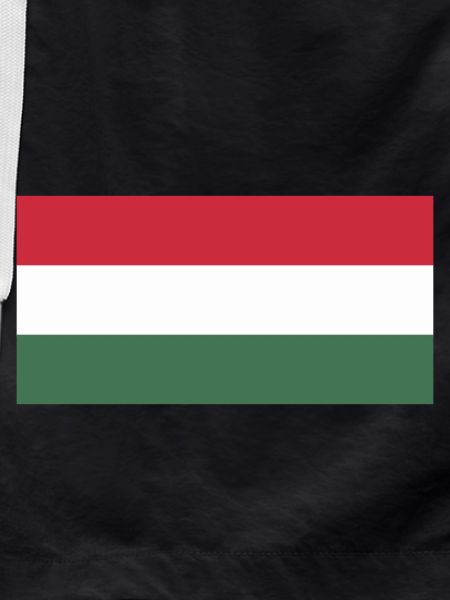Hungary flag / Drapeau Hongrie