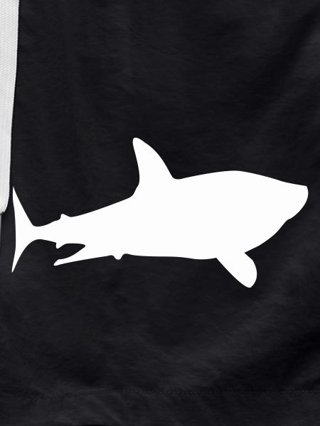 shark shark