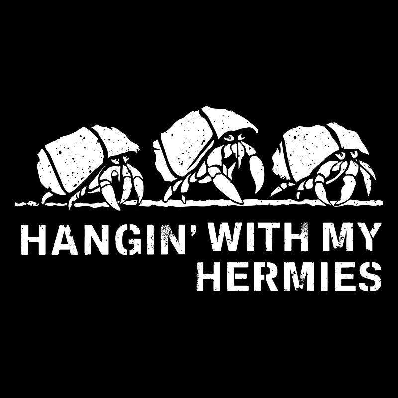 On the road with my Hermies