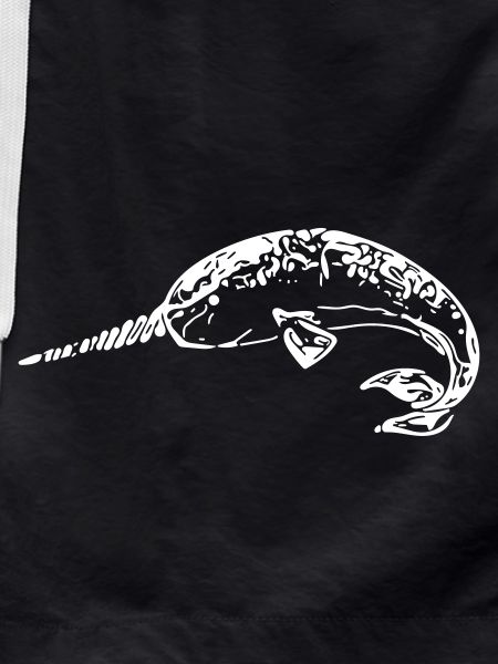 narwhal
