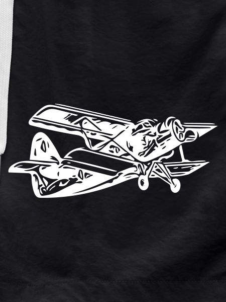 Historic biplane