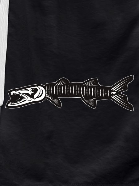 Skeleton of Barracuda