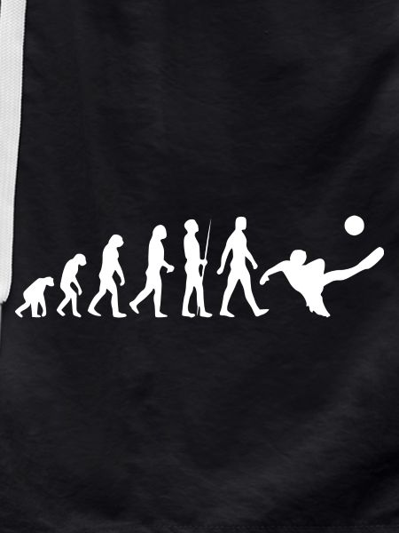 Fußball - Evolution