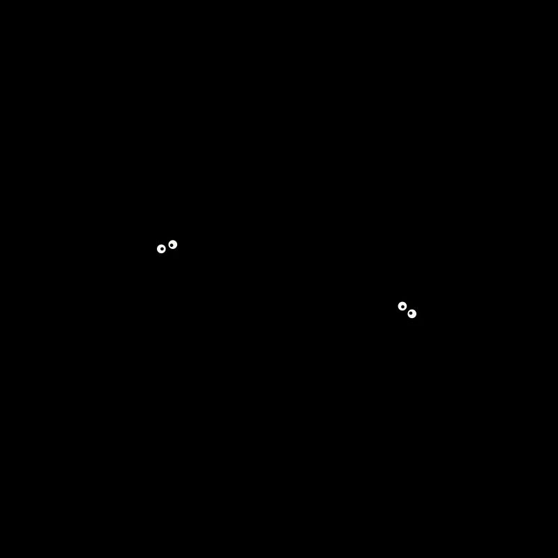 Chauve-souris 2