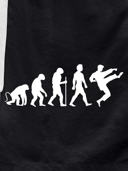 Karate Evolution