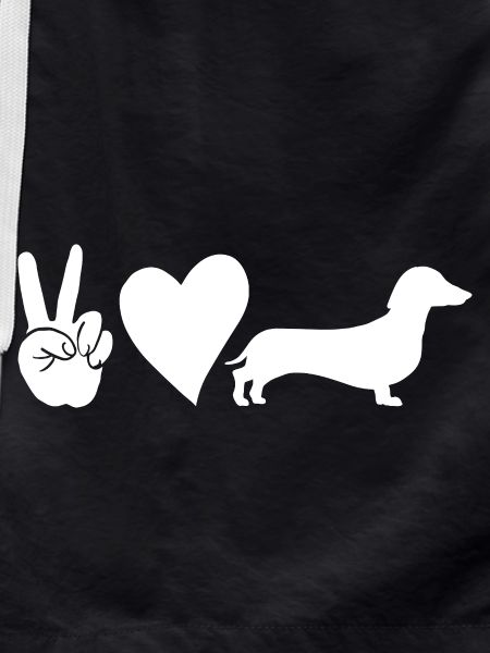 Dog Dachshund