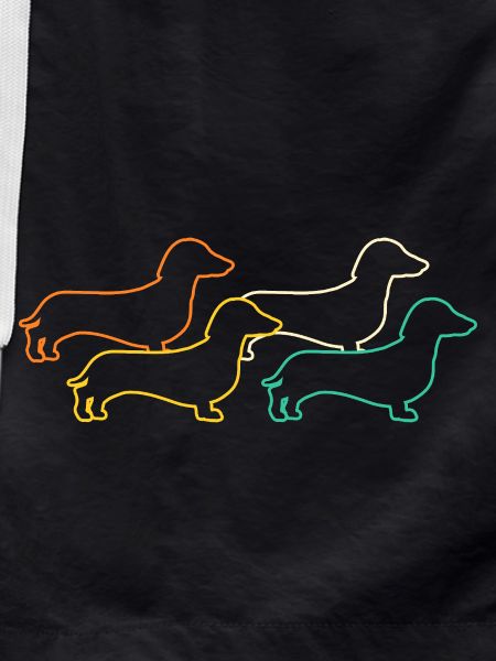 Dog Dachshund