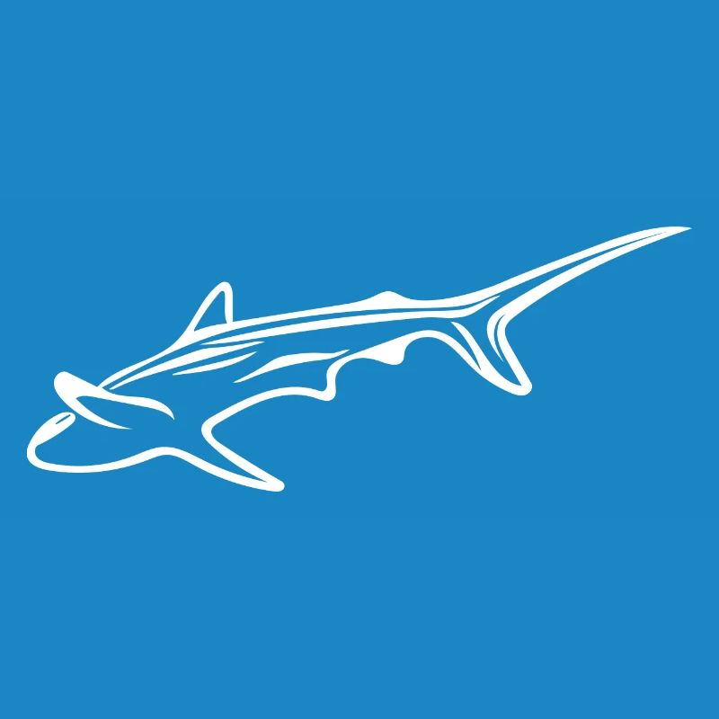 Requin élégant dans le courant de dérive