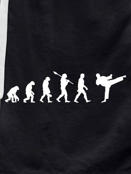 Taekwondo Evolution