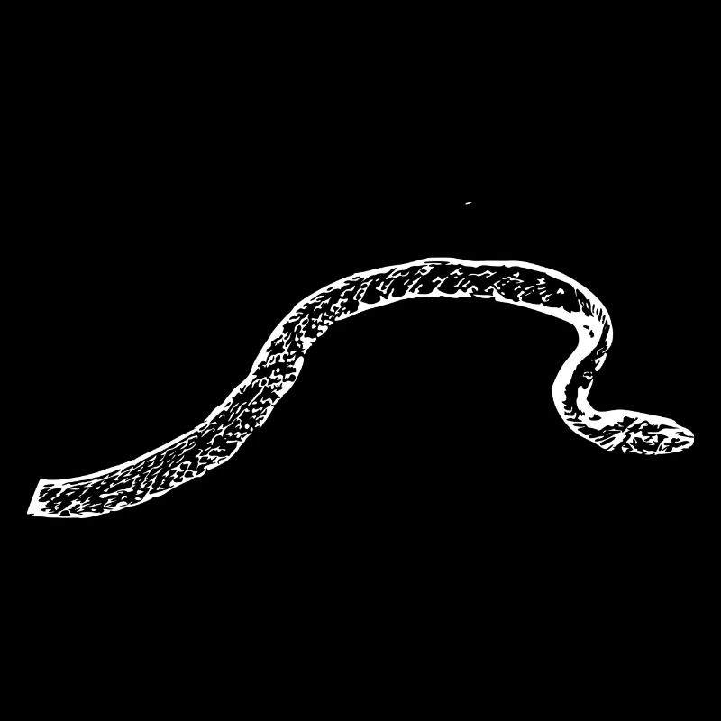 Snake Snakes