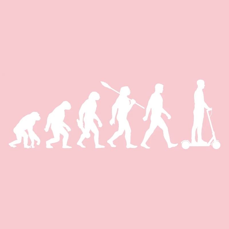 Evolution E-Scooter, Elektro Roller mit Akku