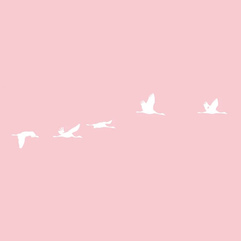 Migratory birds white crane