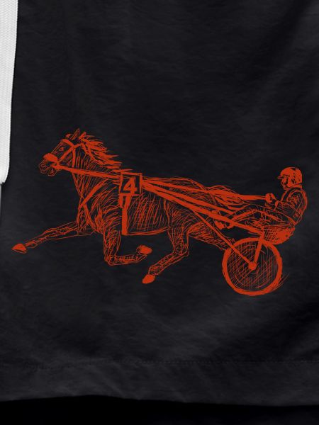 harness racing