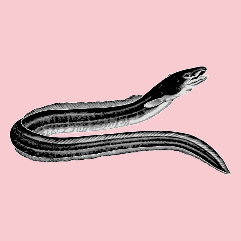 ca.