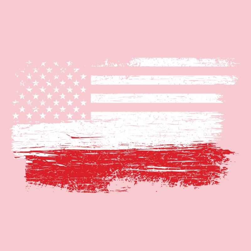 Brushed U.S. Flag Art