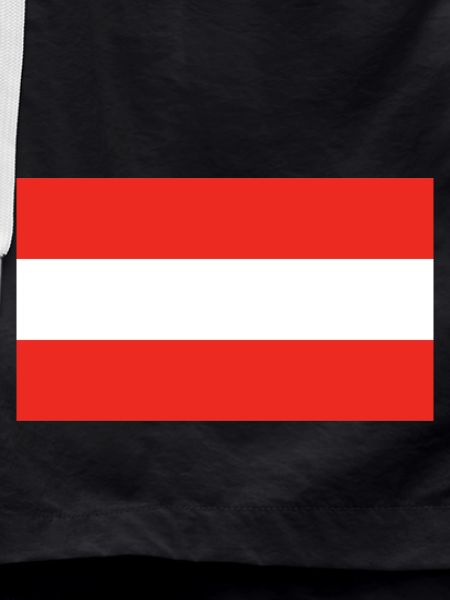 Austria national flag