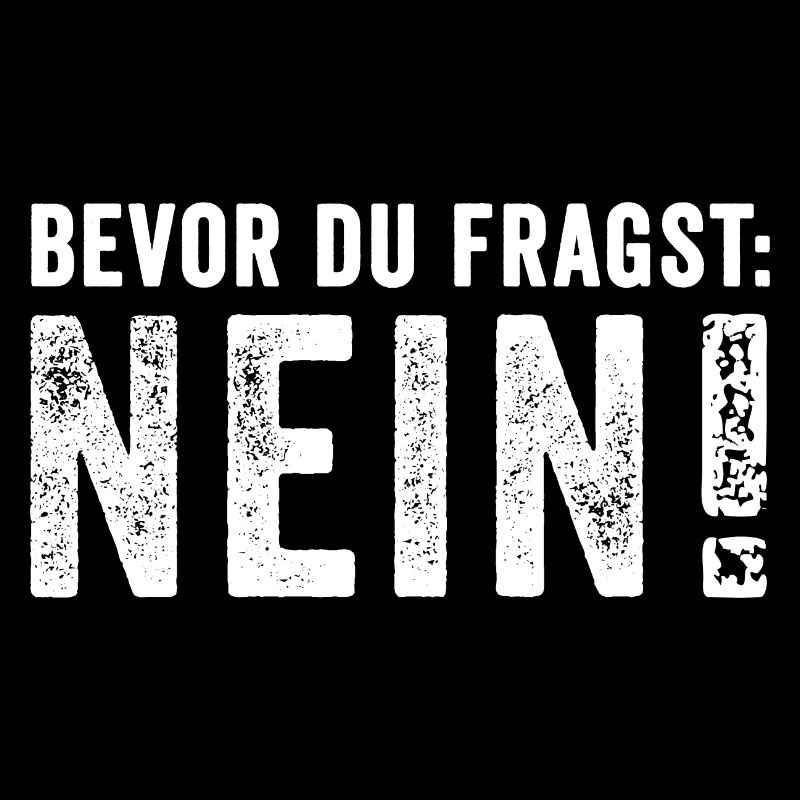 Bevor du Fragst Nein! Lustig Spruch