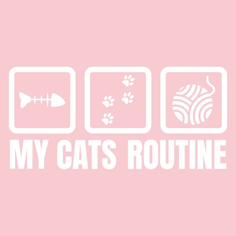 Routine meiner Katze