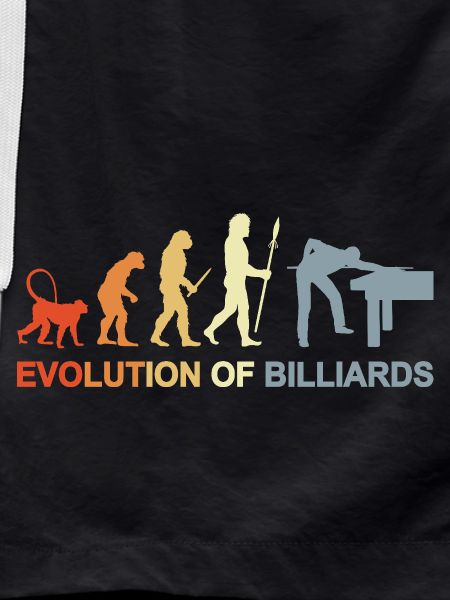 Pool Billard Evolution