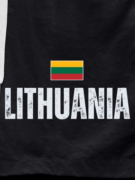 Lithuanian pride, flag of Lithuania
