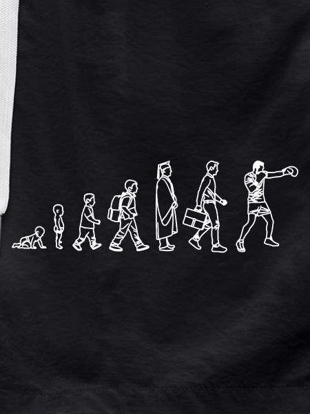 Évolution du Boxer