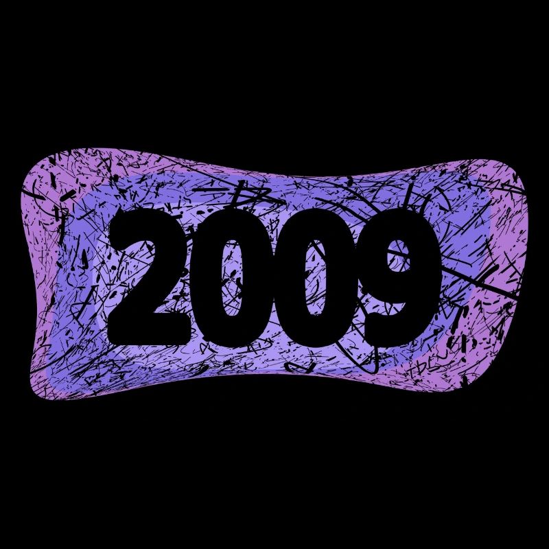 Réunion de classe 2009