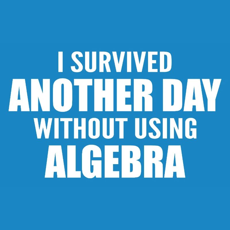 I survived without doing algebra today