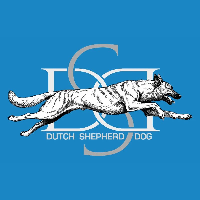 Dutchie - Holländischer Schäferhund