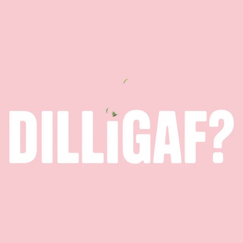 DILLIGAF Humor Saying Sarcasm Statement