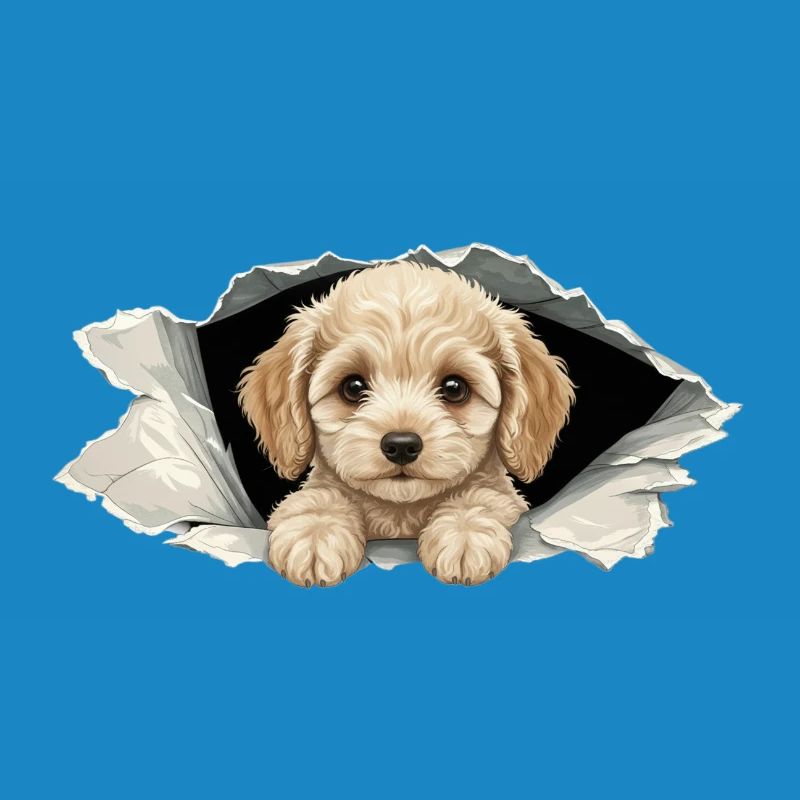 Cockapoo Spieur Mignon, papier déchiré par un Goldendoodle