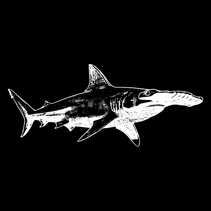 Midnight hammerhead Shark Silhouette