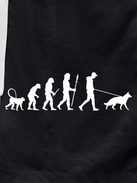 Evolution Deutscher Schäferhund