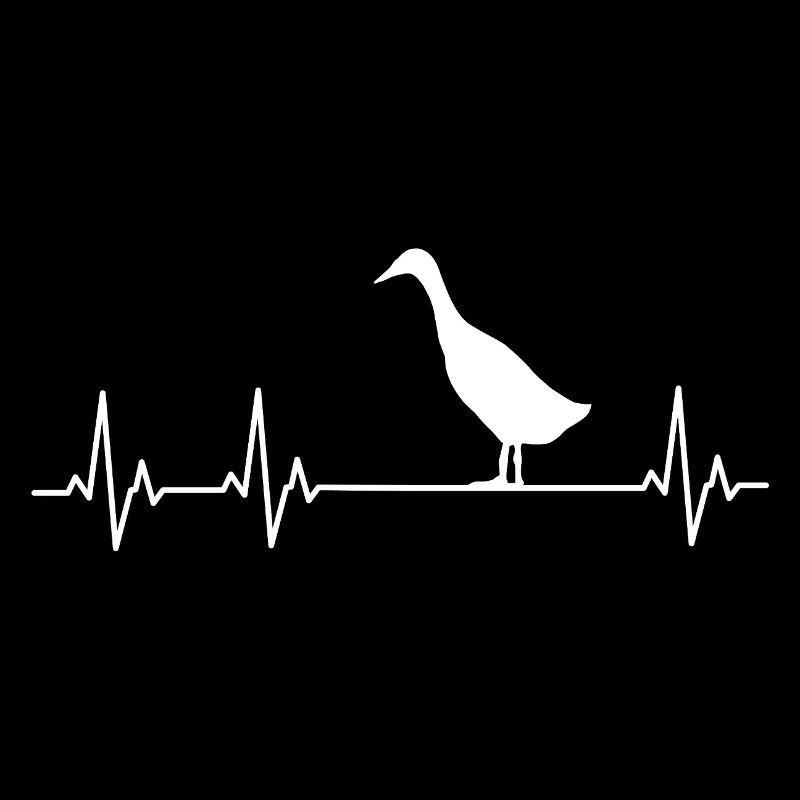 Runner Duck - Runner Duck Breeder - Indian Runner Duck