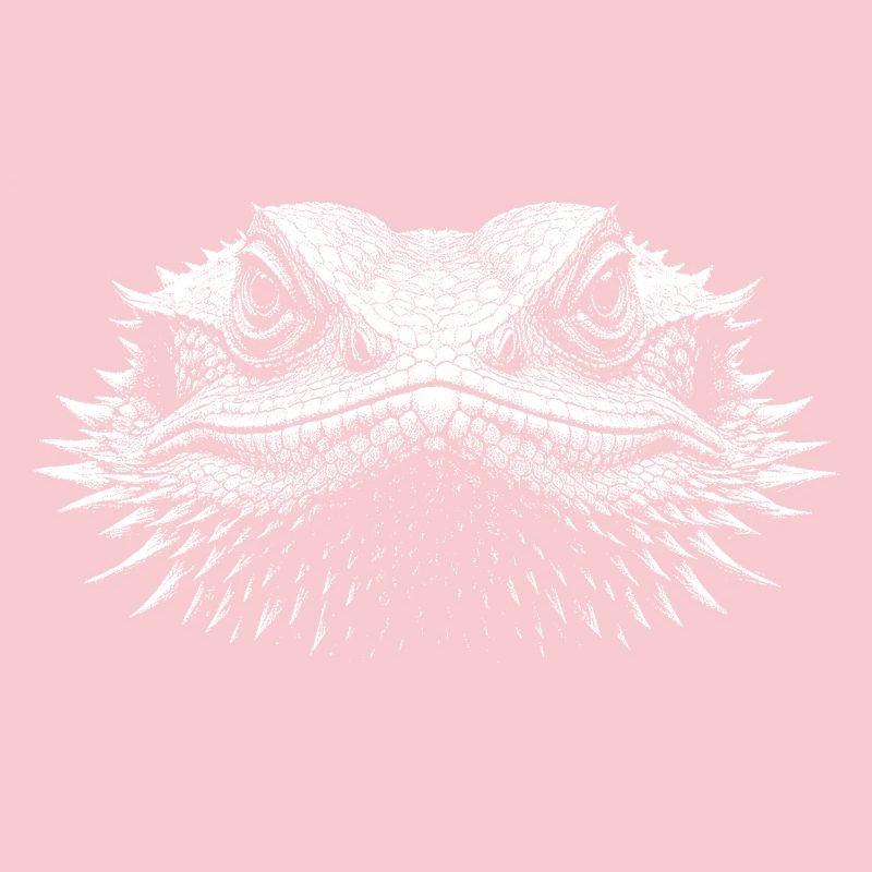 Bearded dragon