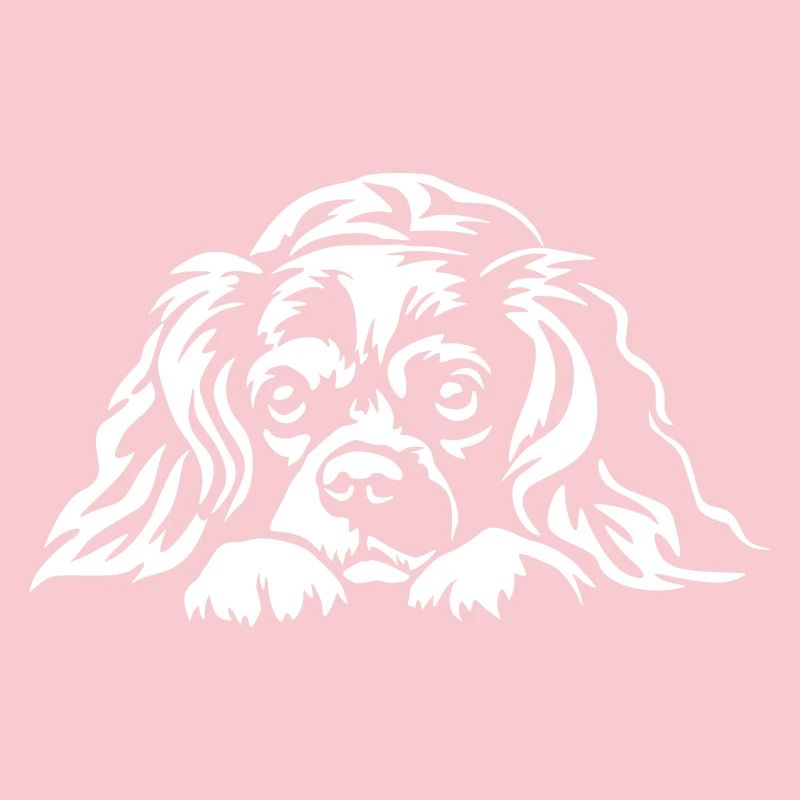 Cavalier King Charles Spaniel "Black Edition"