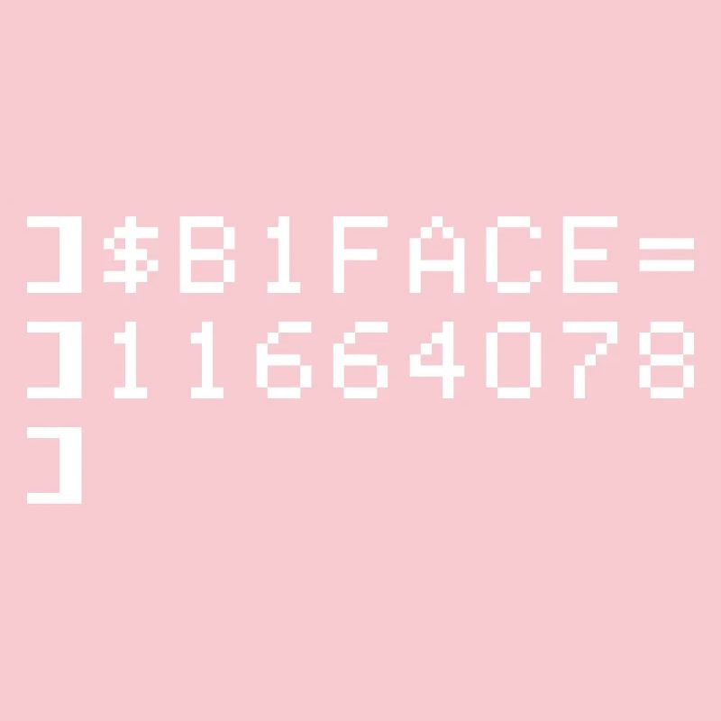 B1FACE Biface Code hexadécimal 8 bit Geek