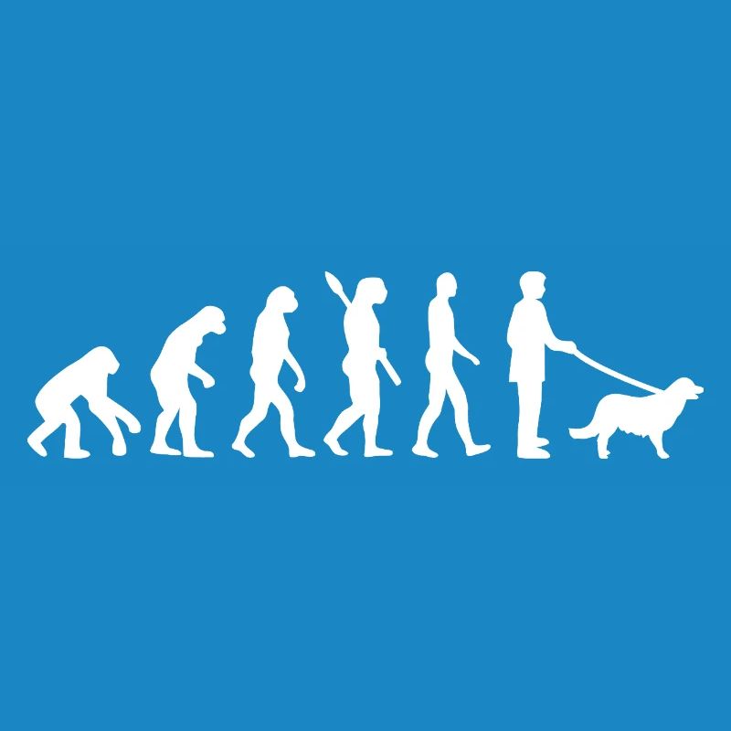 Evolution to Dog Walker