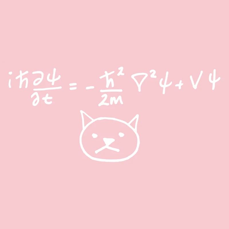 Physical Cat with Equation on White