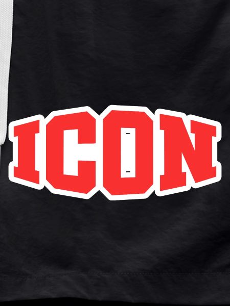 Icône