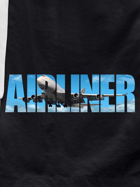 Airliner Jumbo Jet