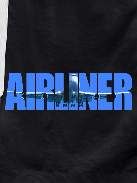 Airliner Jumbo Jet