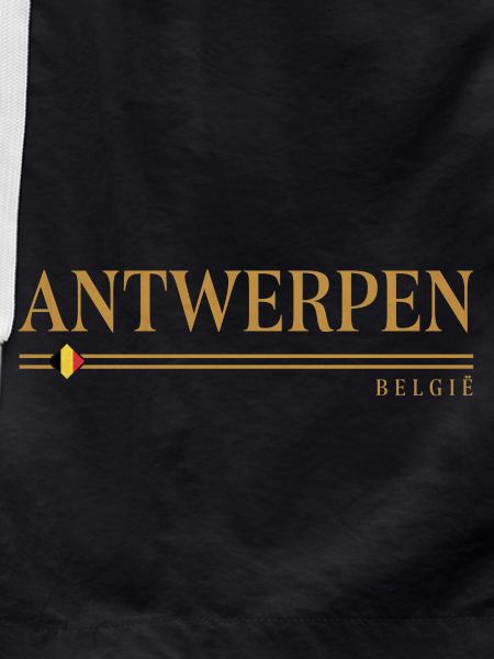 Antwerpen België Bronze