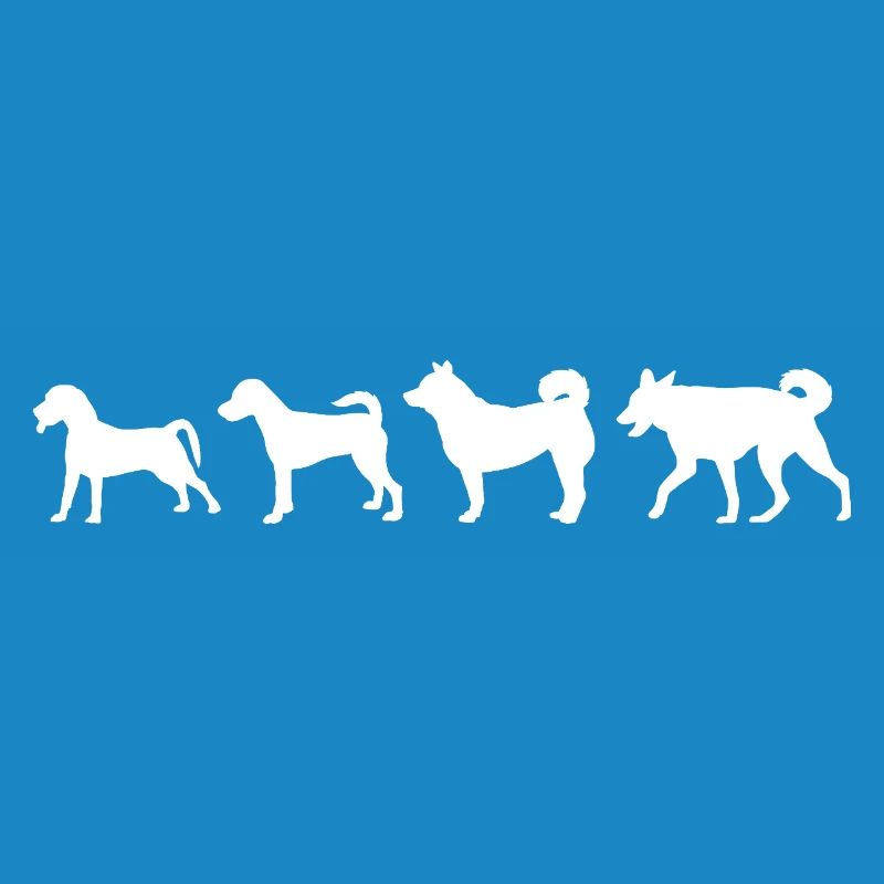 Évolution du chien