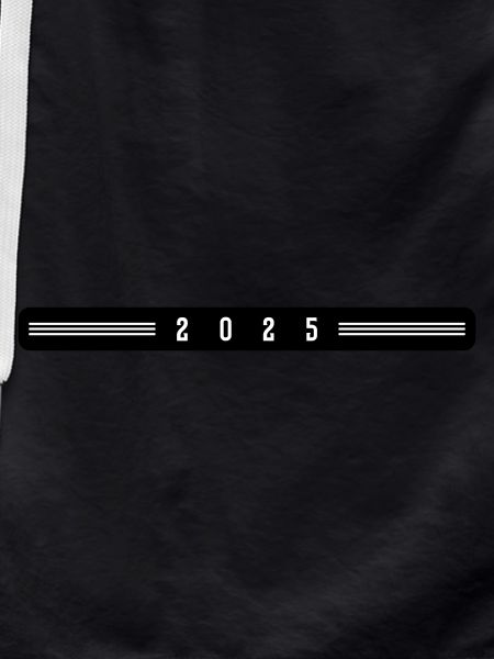 2025 year