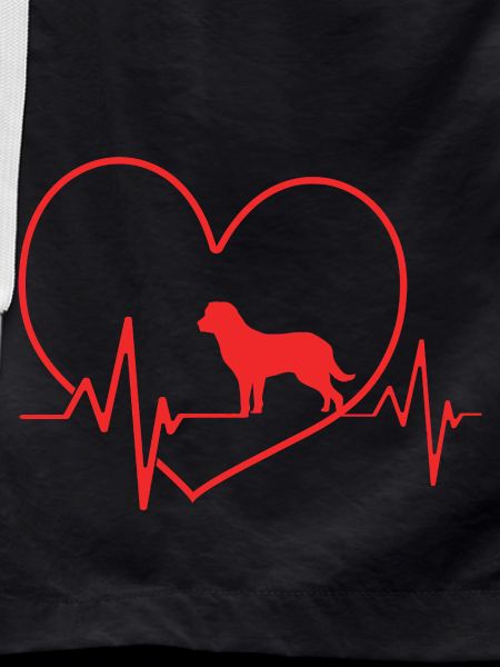 Chesapeake Bay Retriever