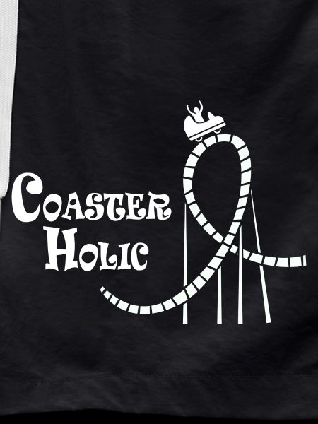 Roller coaster engineer