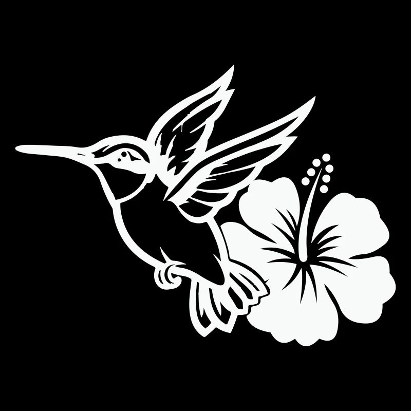 Colibri Oiseau Fleur d’Hibiscus