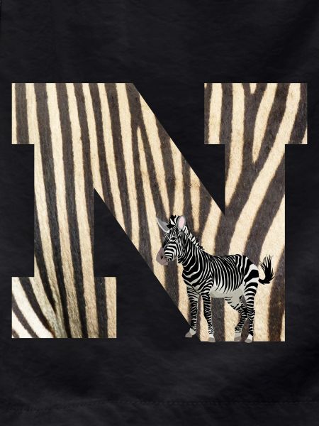 zebra n